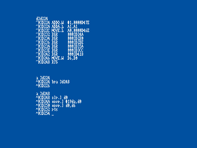 5.gif