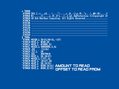 5.gif