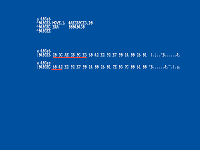 13.gif